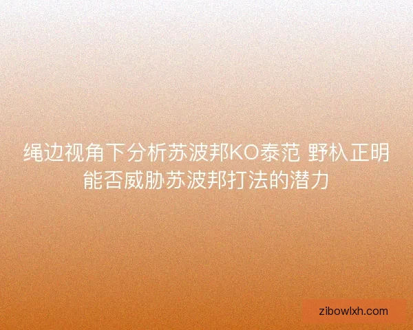 绳边视角下分析苏波邦KO泰范 野杁正明能否威胁苏波邦打法的潜力