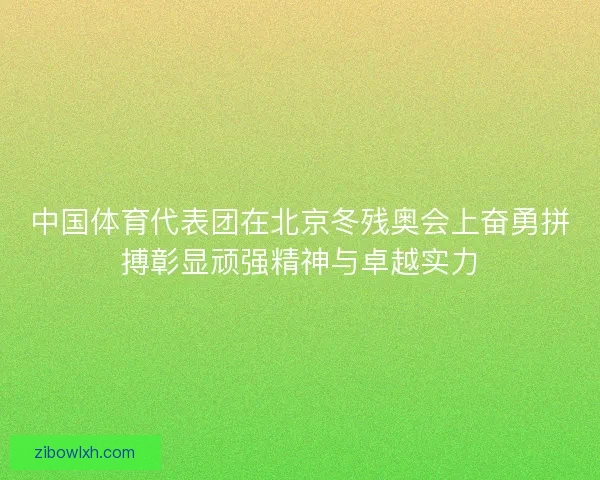 中国体育代表团在北京冬残奥会上奋勇拼搏彰显顽强精神与卓越实力
